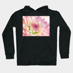 Pink Petals Hoodie